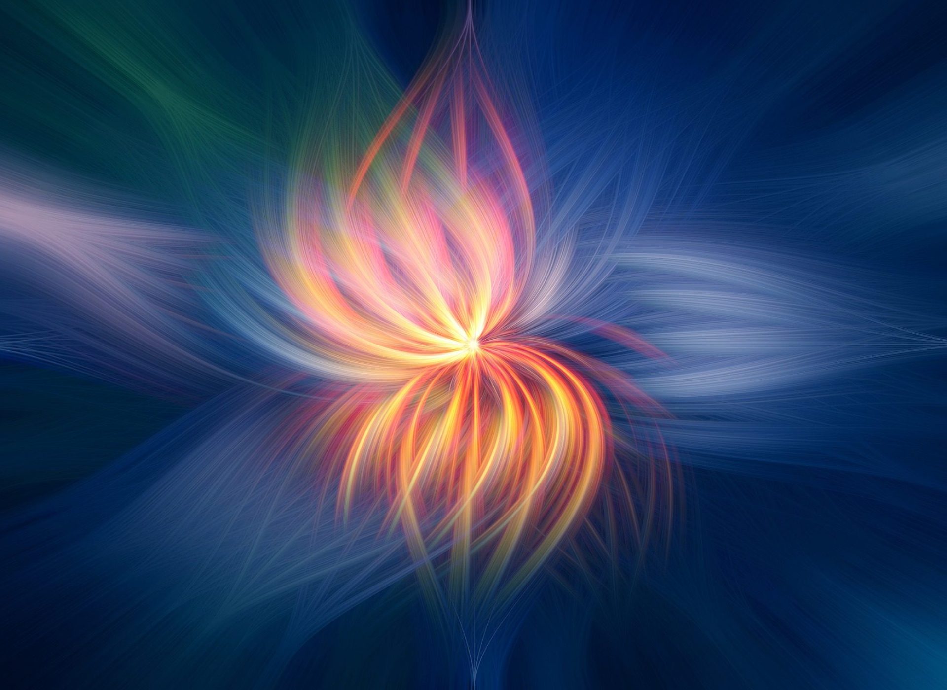 flower-2536651_1920